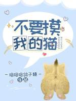 不要摸我的猫